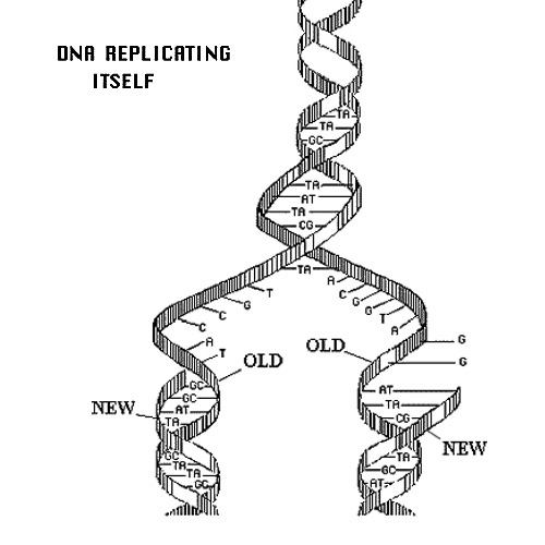DNA (2000)